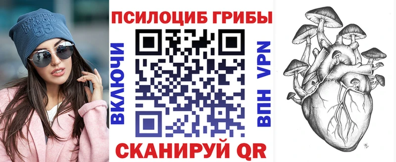 Купить  Лосино-Петровский  Псилоцибиновые грибы MAGIC MUSHROOMS 
